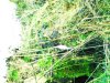 Bild 8 - Farbe.JPG