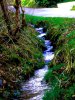 Bild 10 - Fluss.JPG