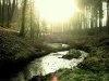Bild 12 - Fluss.JPG