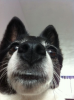 image-903538881.png