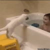Pull cat in bath.gif