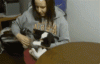 ADHD Cat.gif