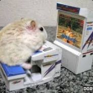 Hamtaro