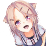 StashCat